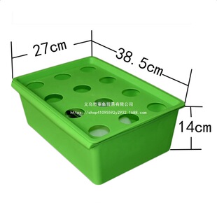 �NֲС�;Gֲ�o����������ֲ�C�仨��N��ֲ����������ˮ�����̨