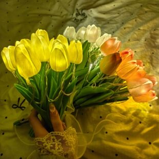 ����������Сҹ��LED���Ҵ��^�Շ�����YƷ���滨��̨���F����