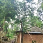 公园90720cm骨子