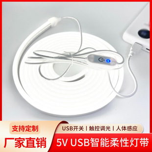 5V Flexible Silicone Neon Light Low Voltage USB Light Strip Led Light Strip Outdoor Waterproof Crafts Atmosphere Light Mirror Light