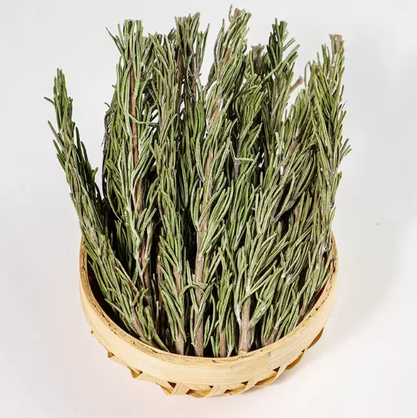 迷迭香原枝煎牛排调料配料新鲜干枝西餐烘焙香料