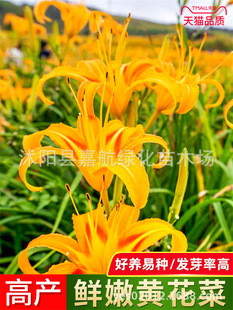 �S������ʳ���S���˷Nֲ���ļ��߲���Nֲ��ᘲ˷N�����n�ݸ��N��