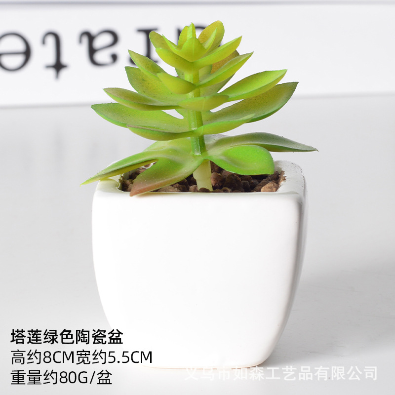 Simulación de cerámica bonsai de carne doméstica decoración de escritorio de oficina plantación verde maceta props de disparo maceta combinada artificial image 37