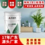 三合一墙面家用水性涂料