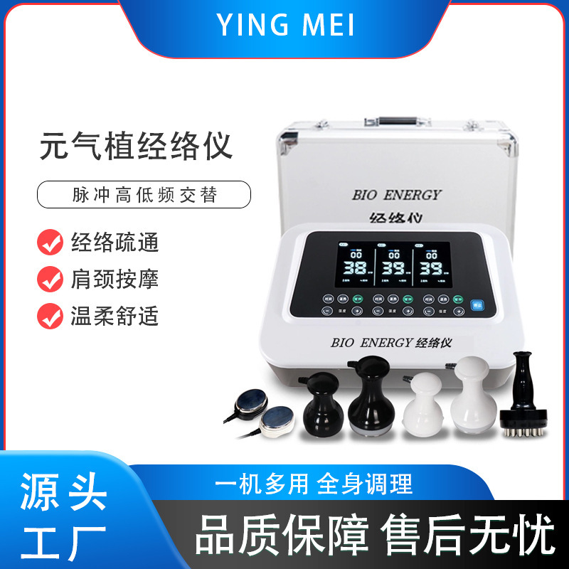 元气植经络养生仪器常青BIO灸导仪生物电脉冲仪疏通按摩仪便携式|undefined