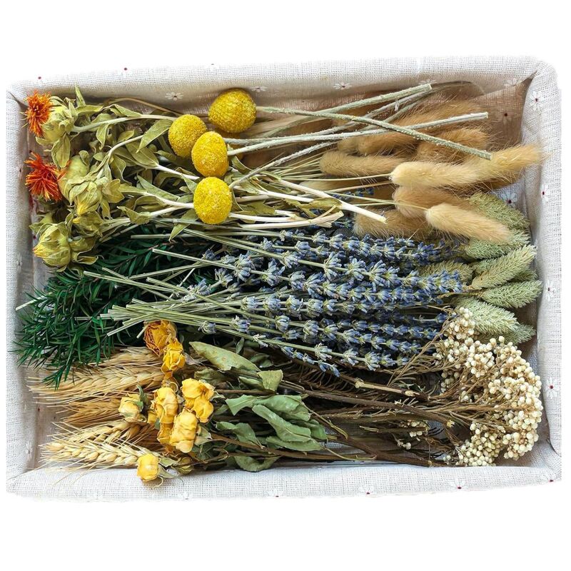 DIY Natural Dried Flower Set Amazon's Best-Selling New Product Eternal Flower Bouquet with Baby's Breath and Reed Decoration Yunnan Factory DIY Natural Dried Flower Set Amazon's Best-Selling New Product Eternal Flower Bouquet with Baby's Breath and Reed Decoration Yunnan Factory