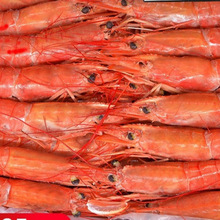 ����͢�t�rl1��t�r���ش���������r������rˮ�a�����r���r