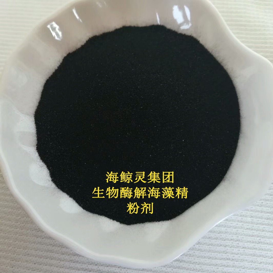 【厂家直供】全水溶酶解25%粉剂原料 生物有机肥料 海藻精