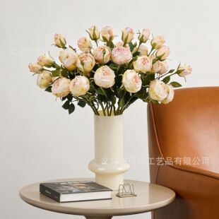 ���滨��֦ĵ�� �Ҿ��bٻ���cĵ��·����������ÏS��ֱ�N