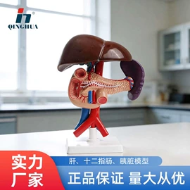 数理教学器材;教学演示用品;生物教学器材