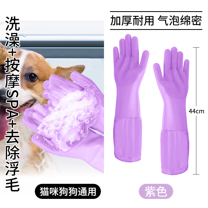 애완동물 길쭉한 보라색