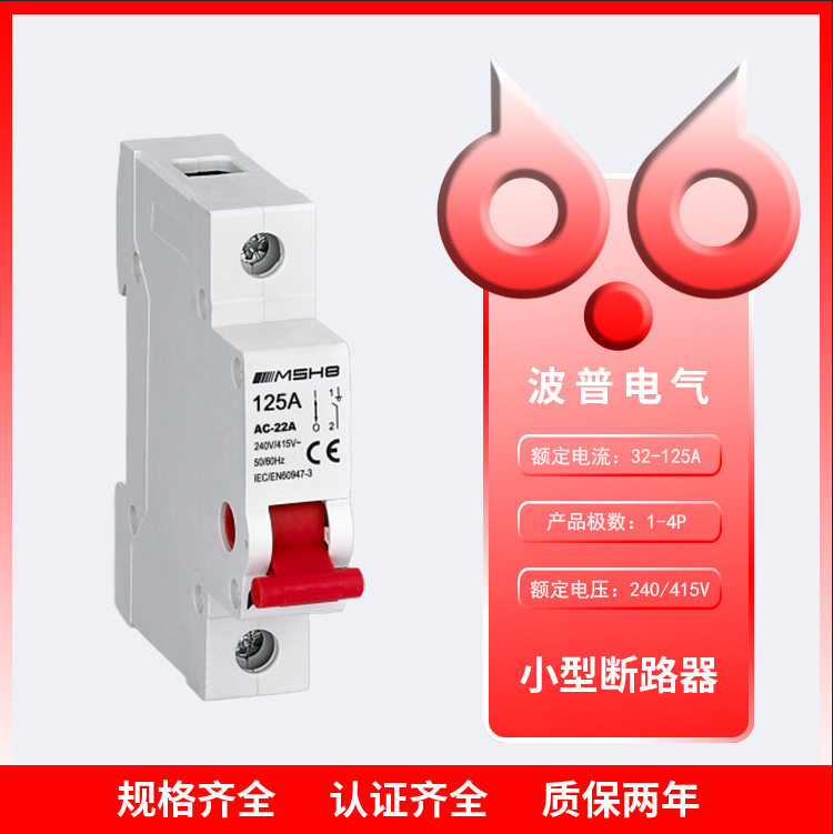 厂家直供 小型家用电闸 总开关 隔离开关 断路器