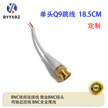 ����bncβ���Դҕ�l�����^Q9�������L��ģ�M�����O�ؔz���^ͬ�S