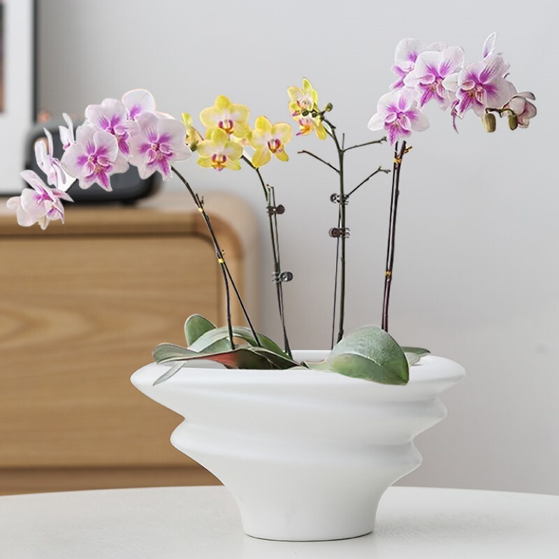 白い胡蝶蘭植木鉢、軽い高級感と高級感のある家庭用セラミック組み立て植木鉢、高級蘭専用植木鉢、送料無料|undefined