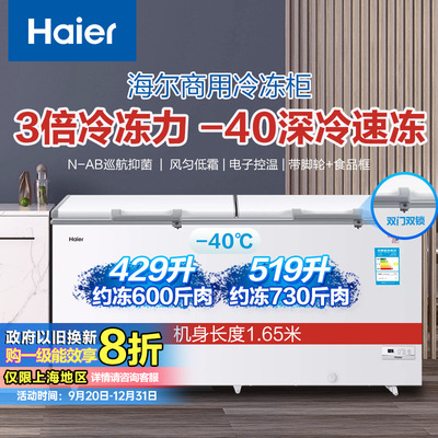 Haier海尔冰柜629/719/829/1028 卧式冷柜冷藏商用冷冻柜优惠|ru