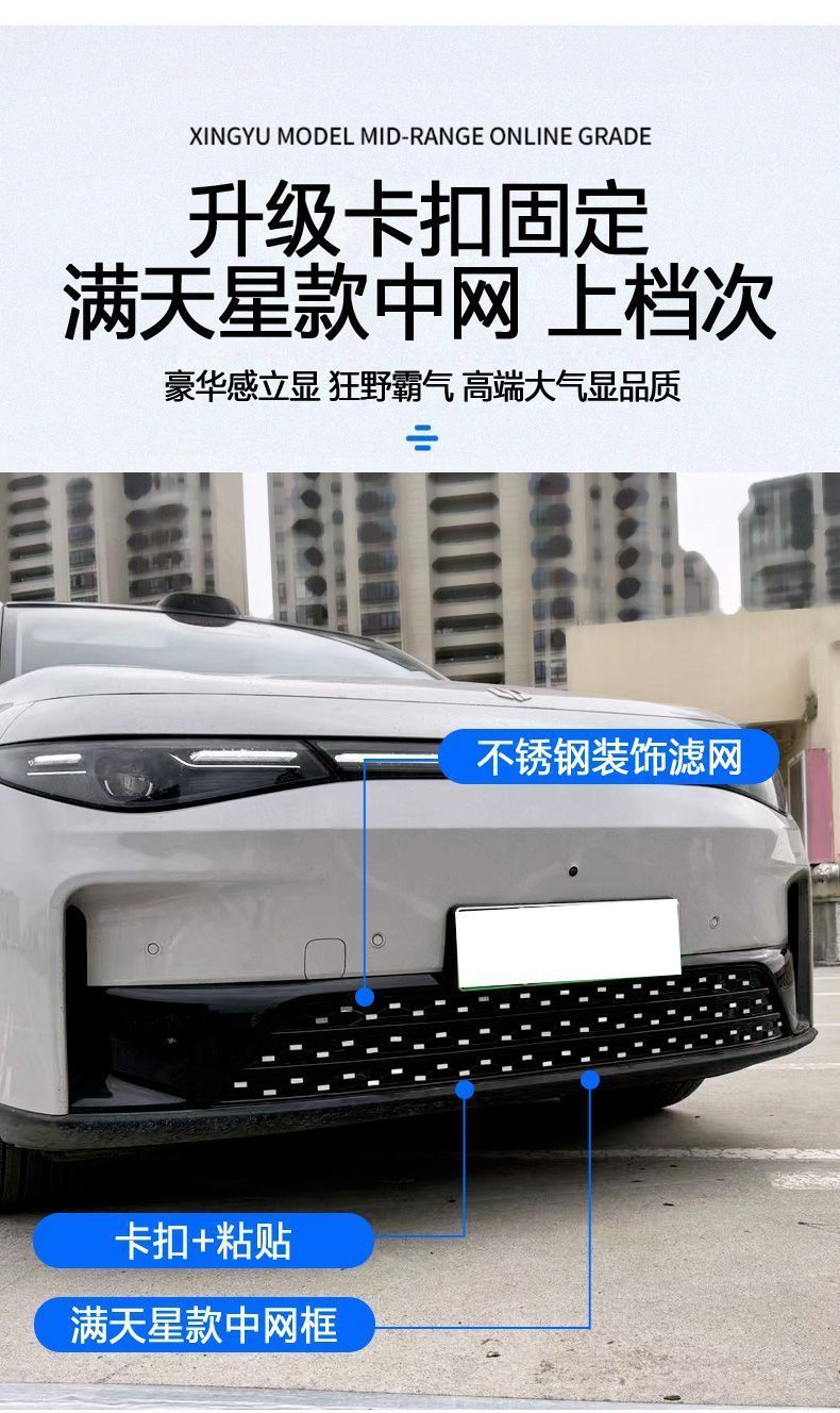 Suitable for 26 Models of Leapmotor C16 Insect-Proof Net, Modified Leapmotor C10 Electric Range Extender Dust-Proof Net, Wholesale of Car Accessories