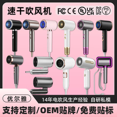 跨境电吹风机家用负离子护发冷热风发廊大功率吹风筒恒温厂家代发