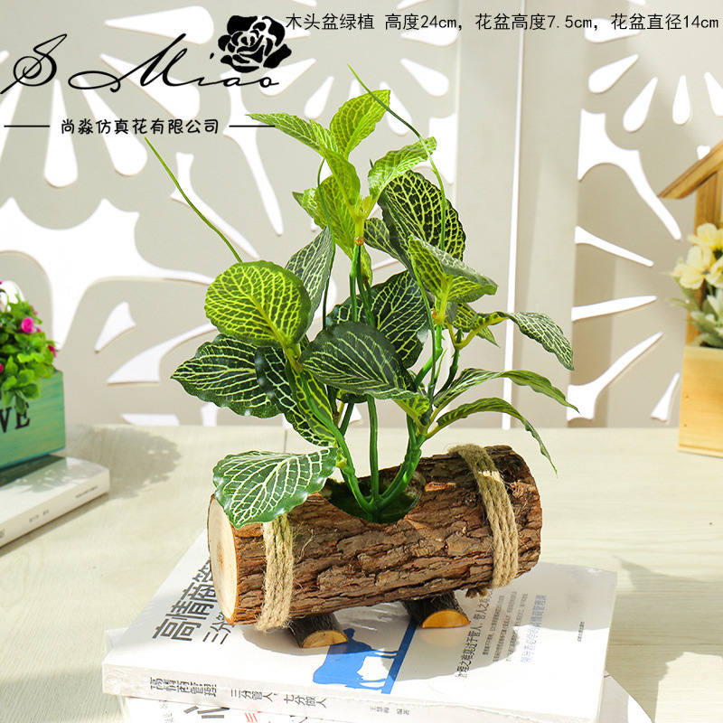 Azul claro maceta de madera verde JH1657 ☆