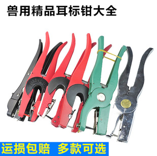 �iţ��¹�ö����Q�Ӻ��X�Ͻ��N��̖�Q�����Q��������Q�F���O��