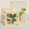 Scandinavian double-sided glossy creative photo frame, transparent plant lamp, sample, wooden jewelry