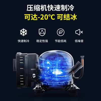 Dual-Use 12V24V Small Refrigerated — Soyuducular