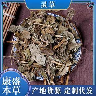 �`�����l����� ������ �`�� ���`�� �����؛�o�� ֧��ș�z