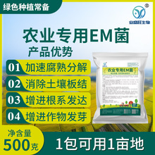 业盛旺农业EM菌蔬菜果树草莓葡萄植物农用改良土壤增根壮苗腐熟