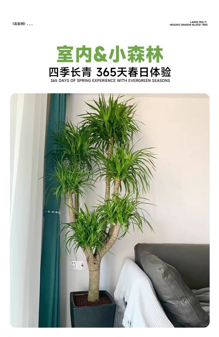 e1c502f9-a2c9-47d0-800f-b7dbd9581a98.png