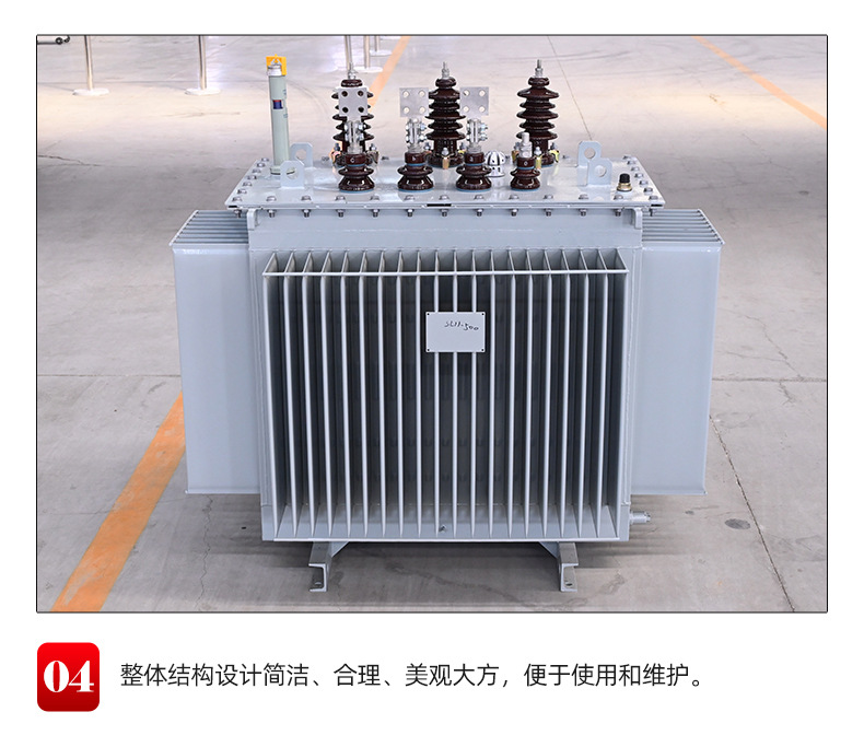 10kV油浸式配电变压器_09