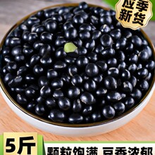 23��؛�Gо��ڶ�5�� �r�����ʞ�Ƥ�G�ĺڶ��� ���{�lѿ��ڞ���