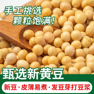 ֱ���|���S����ɢ�b5��10�����l���w���S�� ���{�������ðl��ѿ