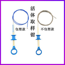 ���wȡ���Qθ�R�c�R��z�Q�ȸQ�R����ܛ�Rһ����ʹ�û��wȡ���Q