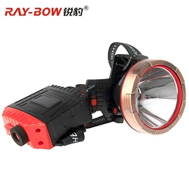 手电筒;头灯头戴电筒;野营/露营灯