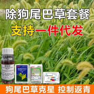 ��β�͠������R���ײ�·߅�ĵطǸ��س�ëë��β�Ͳݠ�������ș��