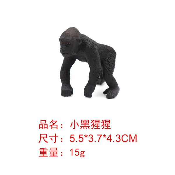 M4062 Little chimpanzee