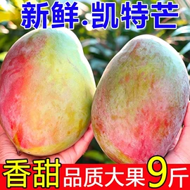 传统糕点;西式糕点;复合调味料