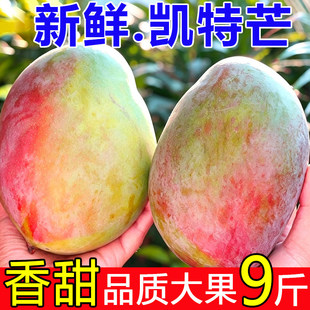 ���ڄP��â���râ������ˮ���Ĵ���â��������㽶�Ϸ��Fժ���l