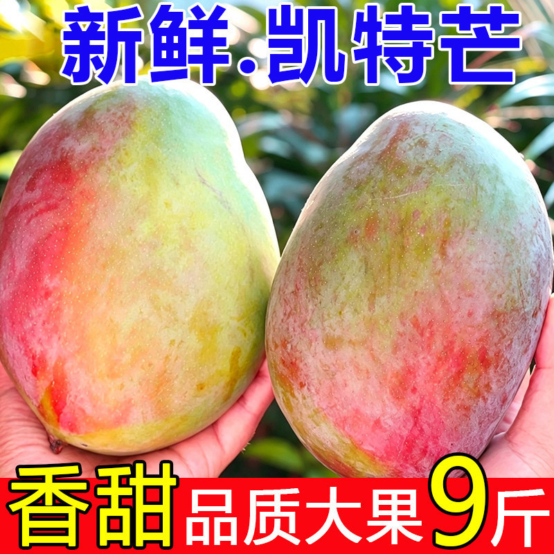 Authentic Kate Mango, fresh mango, seasonal fruit, Sichuan Aomang, large-sized bananas, sold in whole boxes, freshly picked from the south and shipped immediately Authentic Kate Mango, fresh mango, seasonal fruit, Sichuan Aomang, large-sized bananas, sold in whole boxes, freshly picked from the south and shipped immediately