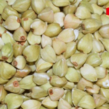 【出口厂家】无麸质爱点优质荞麦仁/荞麦米高质量优质绿色荞麦米