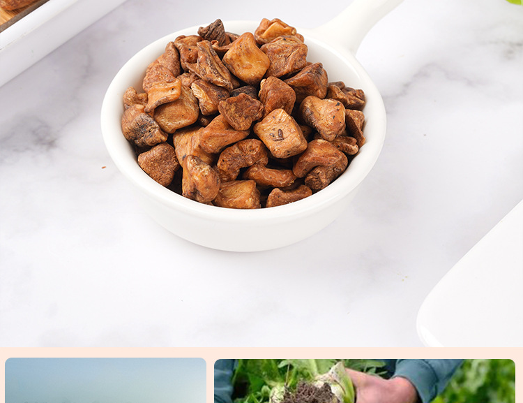 Chicory Root Tea (Cichorium intybus) — Dried Ju Ju Gen Herbal Tea, 190g Jar in use