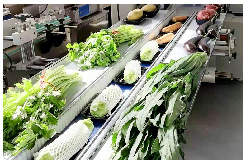 蔬菜枕式包装机_17.jpg