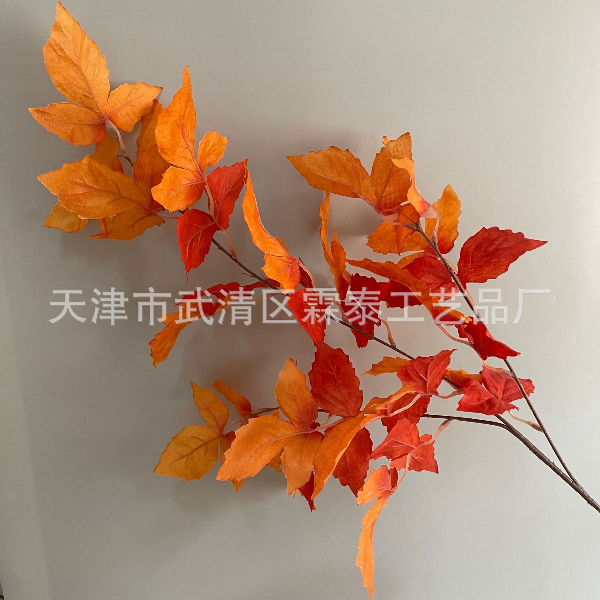 오렌지