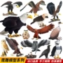 美洲跨境仿真猫头鹰模型