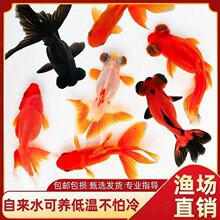 ���~���~�^�p�~����С�͵�ˮ���B��ˮ�~�~������С���~�m���\��