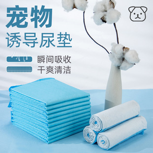 On behalf of the hair pet diaper diaper dog diaper pad thickened diaper deodorant cat pet training supplies