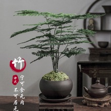 ֲ҃ȿ͏dʽU辰BGֲkҔ[߶˻