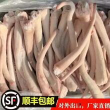 冻货冷冻品猪尾巴猪长尾中尾短尾20斤一件批发零售