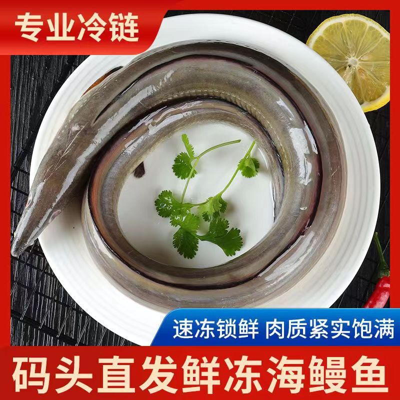 East China Sea Fresh Frozen Sea Eel, 1.0-1.6kg Pieces, Sea-Caught Red Eel, Green Eel, Zhoushan Specialty, Free Shipping by Sf Express East China Sea Fresh Frozen Sea Eel, 1.0-1.6kg Pieces, Sea-Caught Red Eel, Green Eel, Zhoushan Specialty, Free Shipping by Sf Express