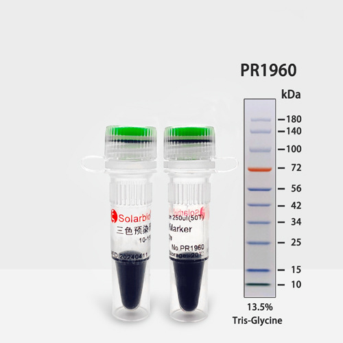 PR1960 三色预染蛋白Marker（10-180 KDa）重组蛋白质 10-180kDa