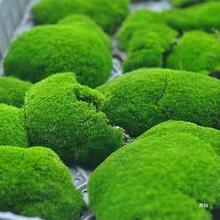 �̽q̦�\΢���^ֲ����϶���r����̦�\ˮ����ָ����辰�����Ƥ